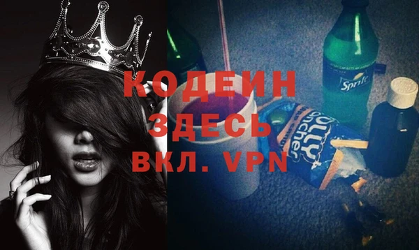 шишки Мегион