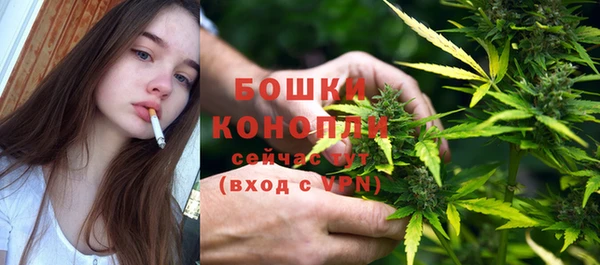 ГАЛЛЮЦИНОГЕННЫЕ ГРИБЫ Михайловка