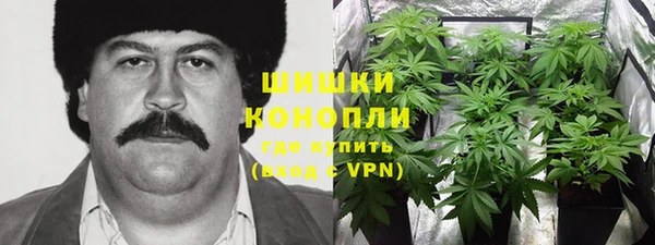 спиды Михайлов