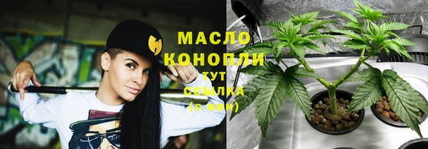 спиды Михайлов