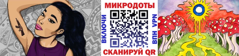 Галлюциногенные грибы Psilocybe  где купить наркоту  Торопец 