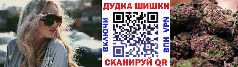 купить закладку  Торопец  Бошки Шишки гибрид 